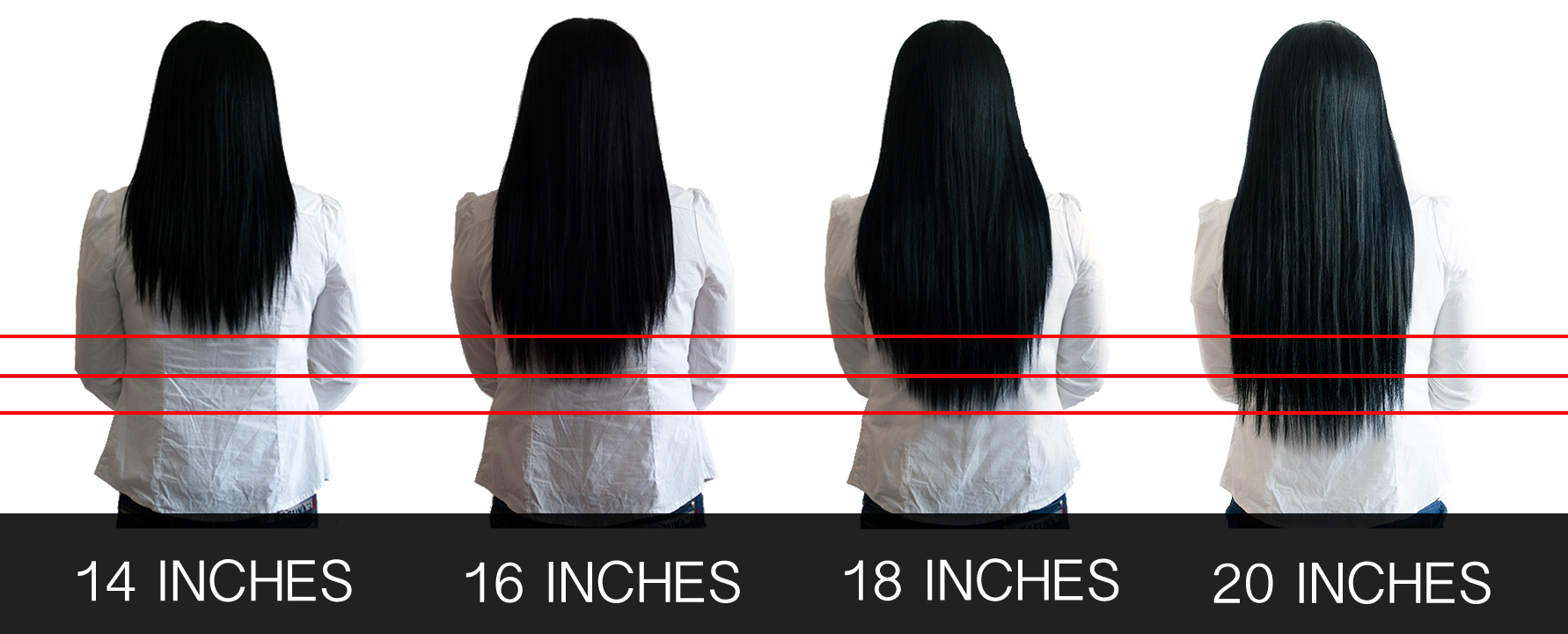 BetterLength Hair Length Chart