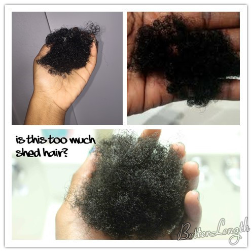 hair shedding - How to Reduce Hair Shedding